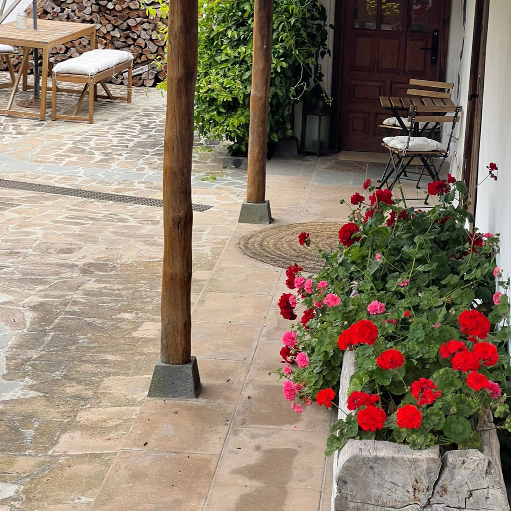 La Paredita Collection Ring geranio II – Justerbar botanisk ring med ekte geraniumblad fra Tenerife – Håndlaget resinring