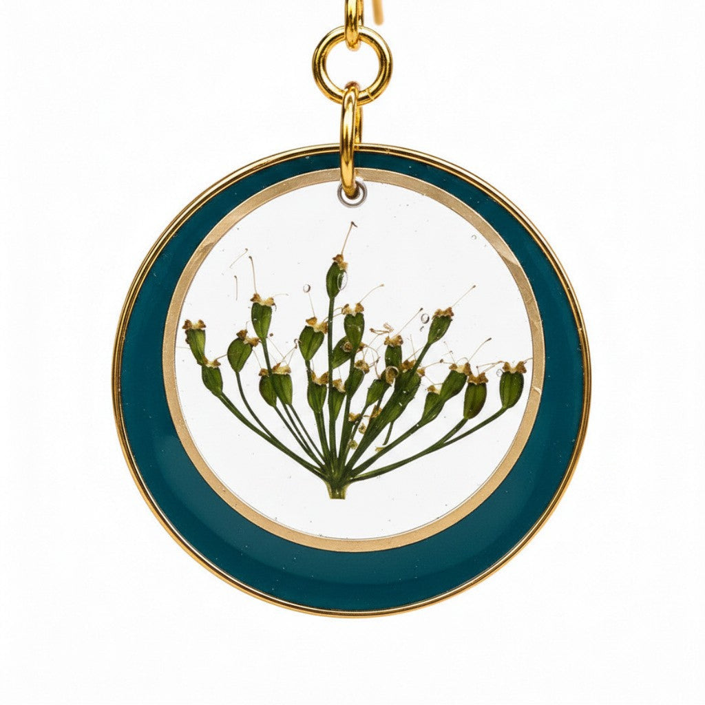 Ammi Majus IV