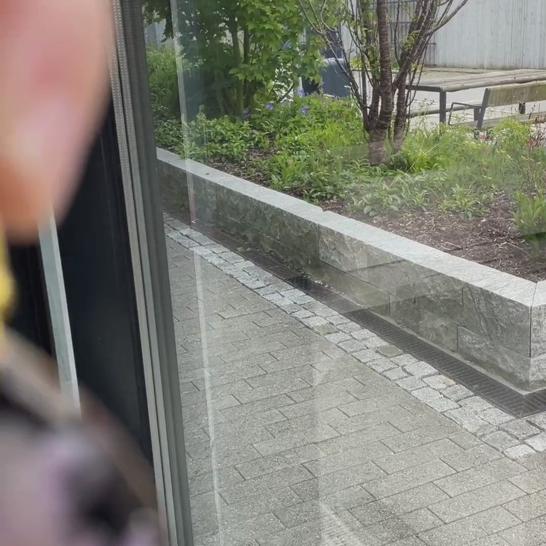 Engkarse i svart – Håndlagde botaniske øredobber med ekte blomster
